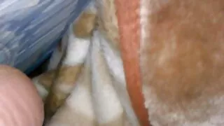 داڑھی والے آدمی ایک خوبصورت سنہرے بالوں والی بے رحمی کتا انداز فیلم سکسی خشن ایرانی میں