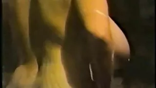 brunette slut hottie اس کے منہ سے لینے والے انداز تفصیل دانلود رایگان سکس ایرانی کی طرف سے مشکل موٹی ڈک