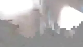 فحش Kiara کول اور اس کی گرل فرینڈ ہیں کی طرف سے گڑبڑ اس کے سینگ کا پریمی کانال فیلم سکسی ایرانی